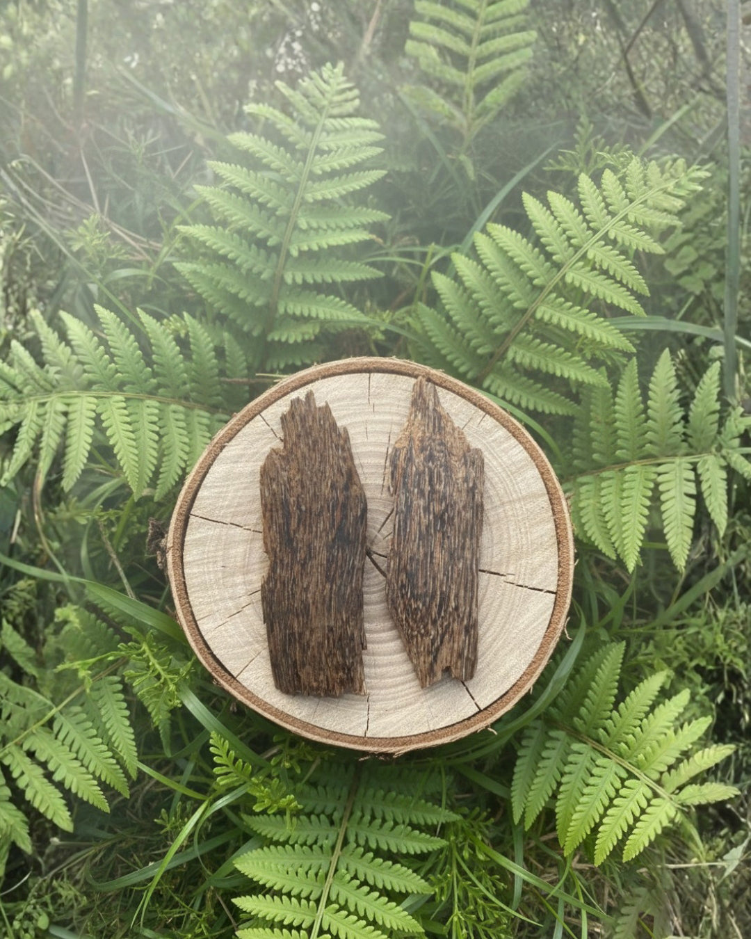 AAA/AA Oud Chips – Premium Crassna Oud