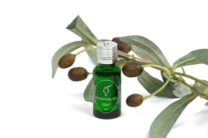 Essential Oil , Rose Geranium, 20ml